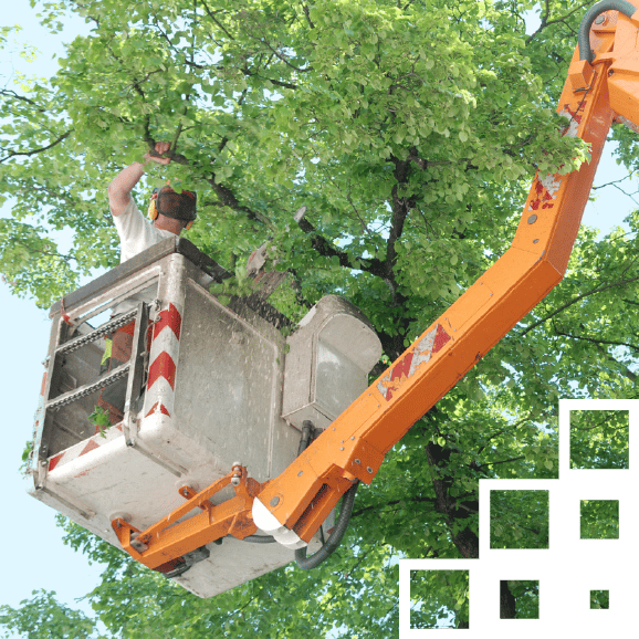 Auszug Progresity@0.5x